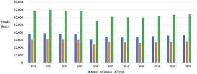 Stroke systems of care in the Philippines: Addressing gaps and developing strategies